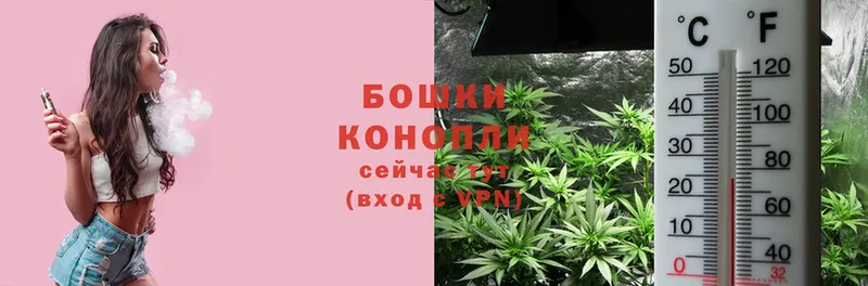 Марихуана OG Kush  маркетплейс официальный сайт  Николаевск-на-Амуре 